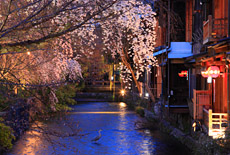 祇園白川
