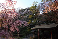 日向大神宮