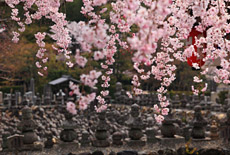 化野念仏寺