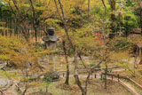 直指庵