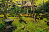 祇王寺 石燈籠と本堂