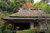 滝口寺 本堂と葉桜