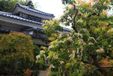 檀林寺