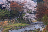 八瀬