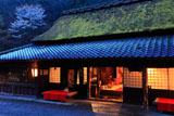 平野屋と山桜