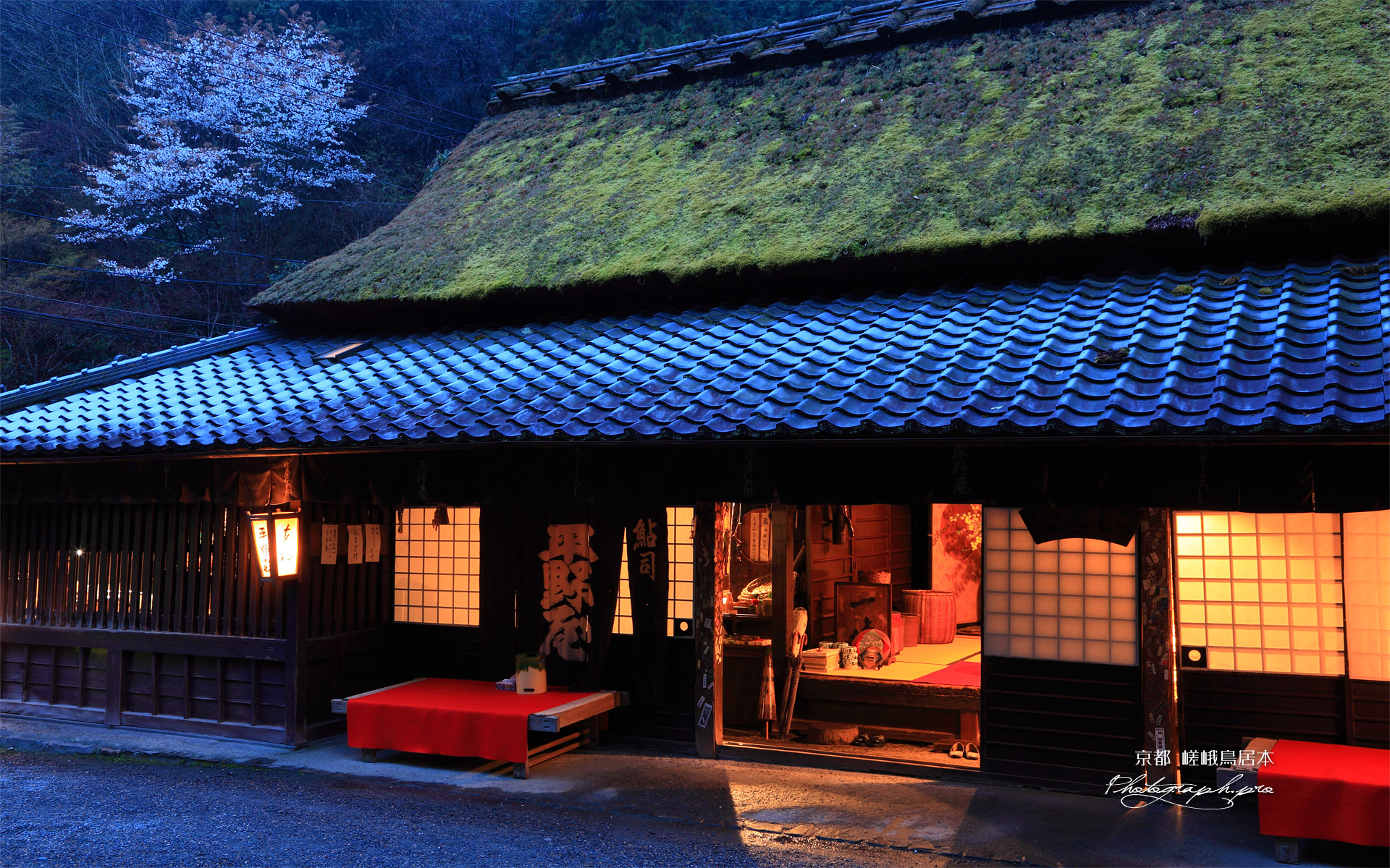 平野屋と山桜