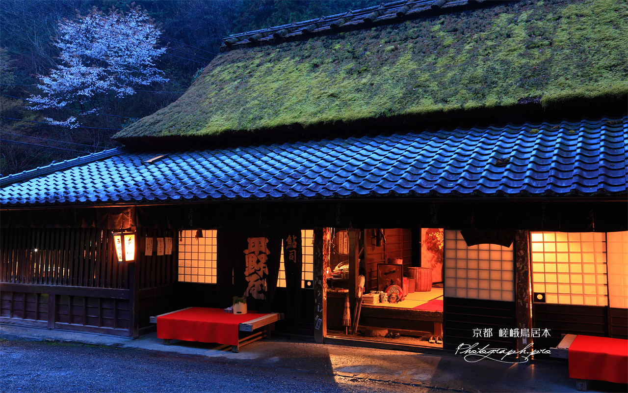 平野屋と山桜 壁紙