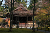 三千院の山桜と往生極楽院