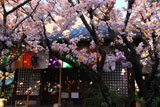 雨宝院