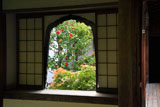 妙心寺桂春院 火灯窓越しの椿
