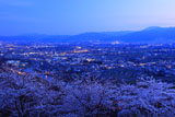 アルプス公園の桜 松本平の灯