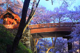 高遠城址公園の桜 桜雲橋と問屋門