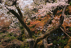 文珠菩薩堂