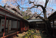 十輪寺