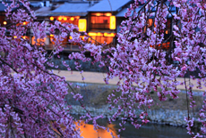 鴨川