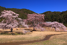 平安郷