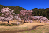 京都平安郷