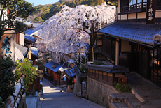 産寧坂重要伝統的建造物群保存地区
