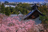 天龍寺