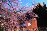 向日神社