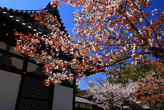 御香宮神社