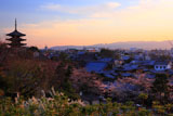高台寺 夕照の産寧坂重伝建地区