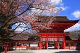 下鴨神社 山桜と楼門