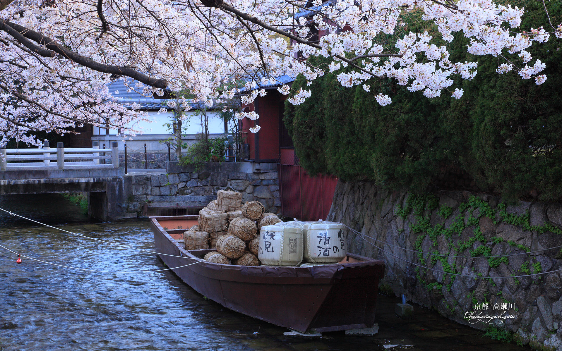 高瀬川 一之舟入の桜と高瀬舟