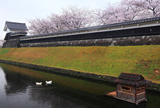 勝竜寺城