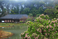 浄瑠璃寺