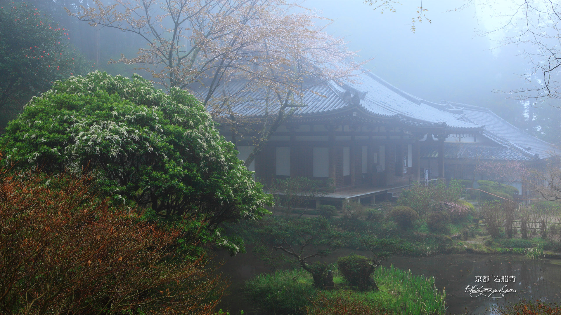 岩船寺の馬酔木と本堂