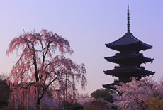 洛中