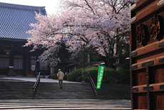 大谷本廟