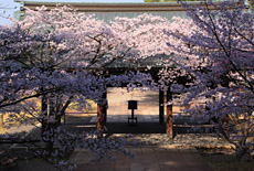 豊国廟