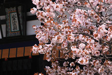 御所・寺町・河原院