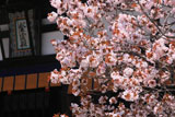 京都御所