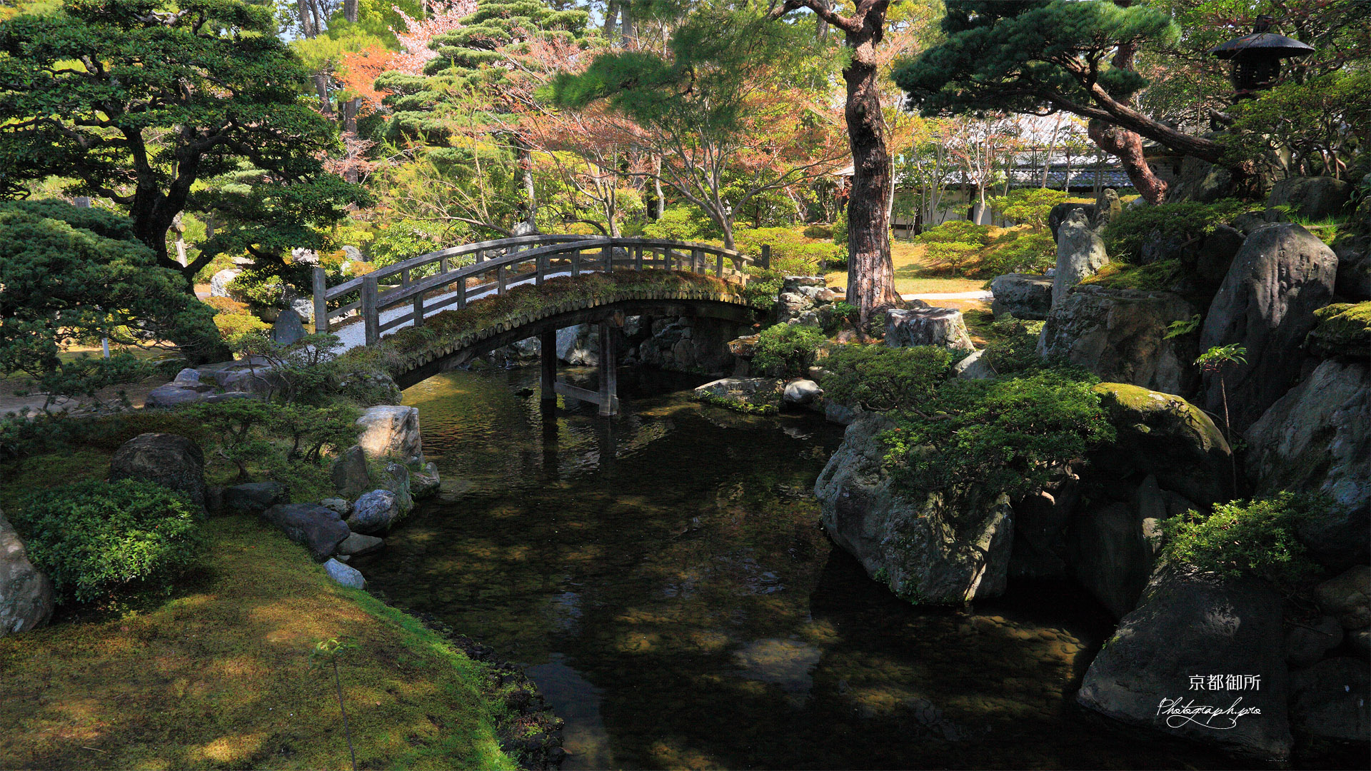京都御所 御内庭の小川