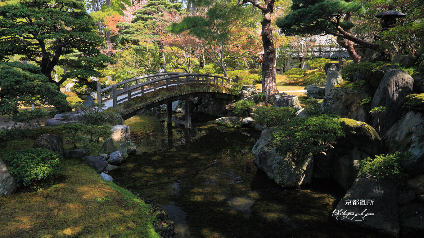 京都御所 御内庭の小川 壁紙