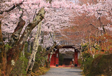 常照寺