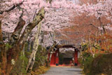常照寺