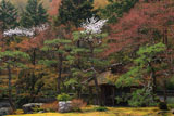 しょうざん 山桜と酒樽茶室