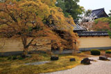京都等持院 萌黄色の方丈庭園