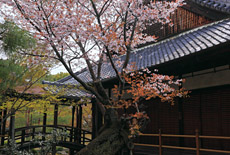 等持院