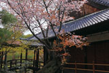 等持院