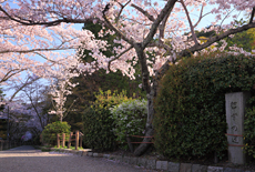 哲学の道