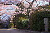哲学の道