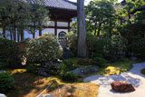 妙心寺大心院 阿吽庭の馬酔木