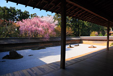 龍安寺