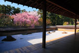 龍安寺