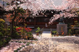 墨染寺
